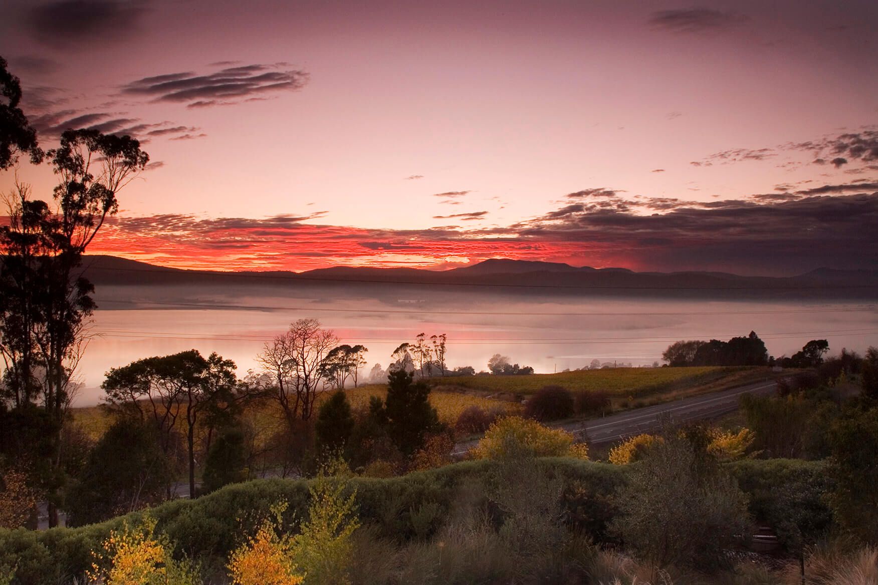 Sunrise-on-Tamar-River-1.jpg
