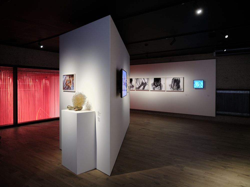 V Kunsthalle Praha byla otevřena výstava Neklidná duše japonské umělecké hvězdy Chiharu Shioty