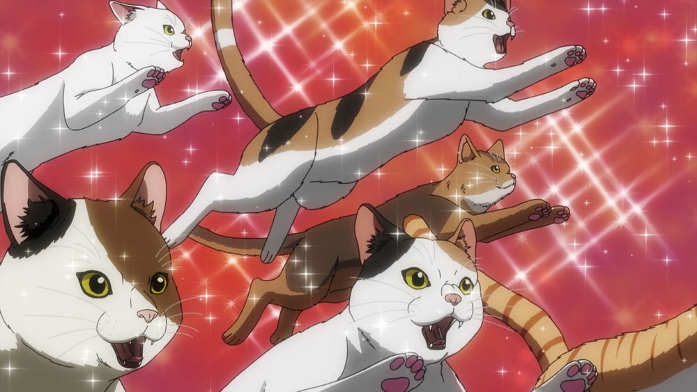 Pozor, kočičky: Anime seriál Nyaight of the Living Cat přinese kočičí apokalypsu 